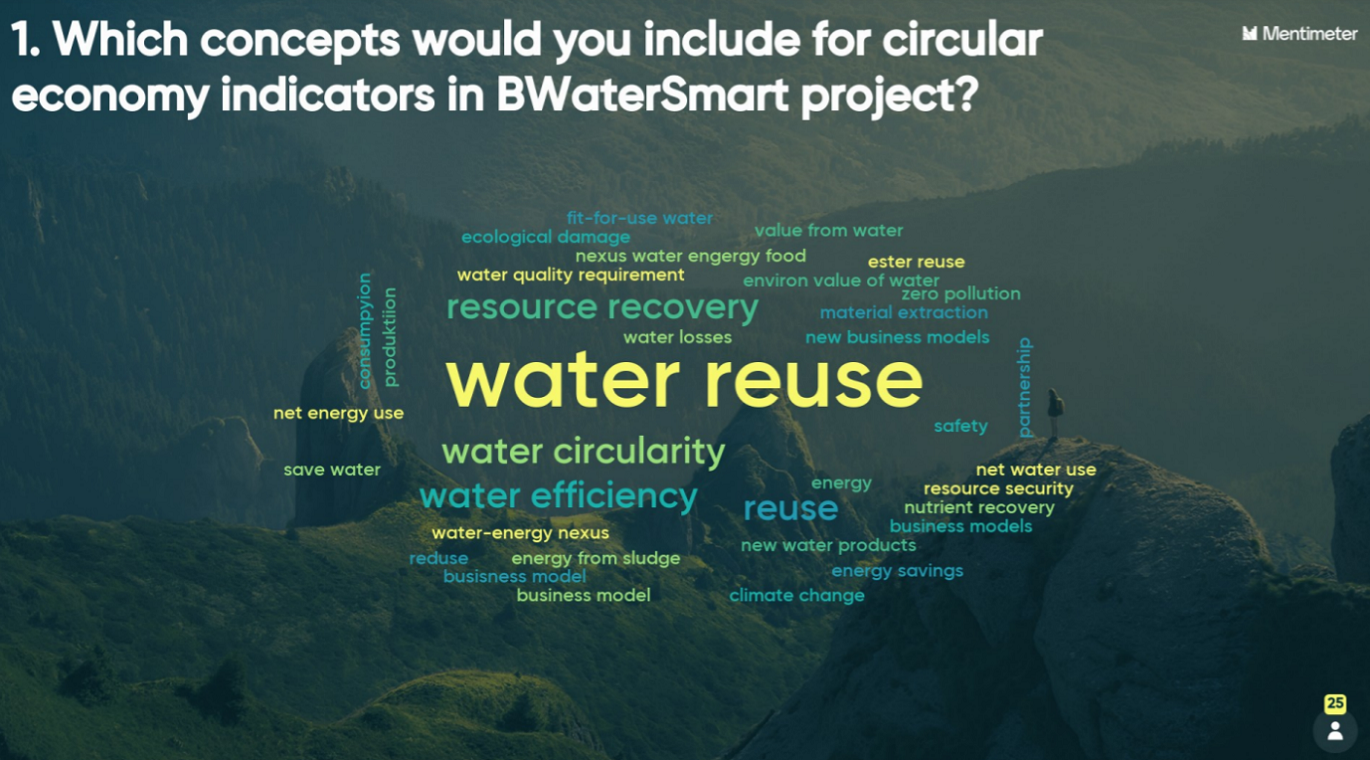 BE12_VIP deliverables2 Priorization of concepts to be included in circular economy indicators in the context of B-WaterSmart